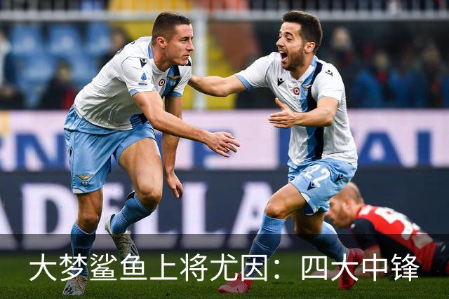 大梦鲨鱼上将尤因：四大中锋